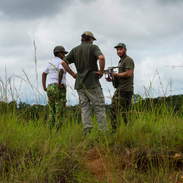 gabon wildlife safari