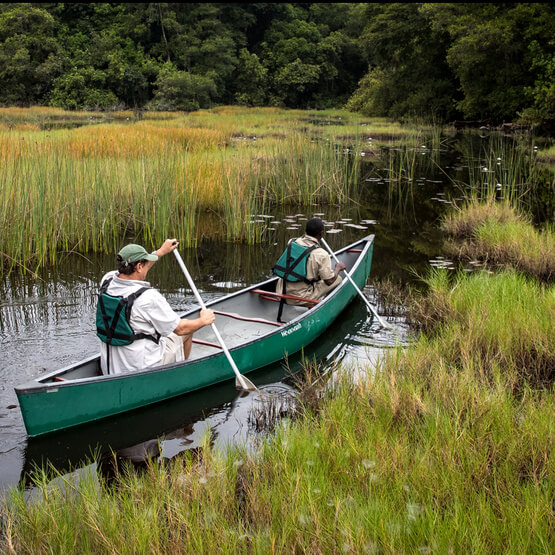 gabon wildlife tours