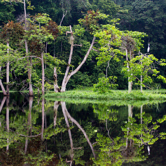 gabon wildlife tours